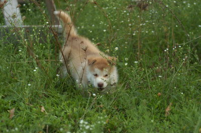 DSC_5662.JPG