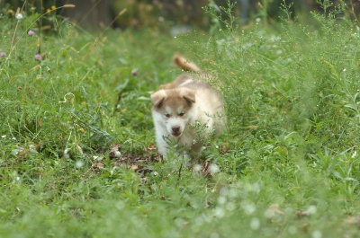 DSC_5472.JPG