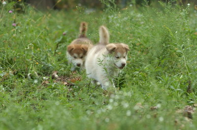 DSC_5473.JPG