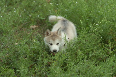 DSC_5617.JPG
