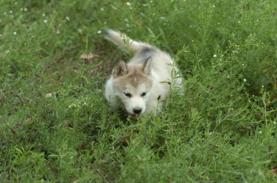 DSC_5618.JPG