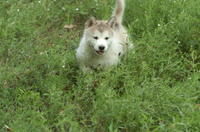 DSC_5620.JPG