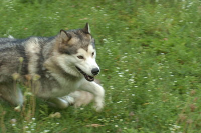 DSC_5680.JPG