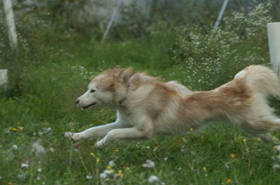 DSC_5701.JPG