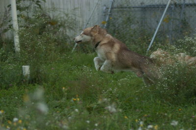 DSC_5703.JPG