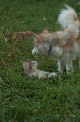 DSC_5706.JPG