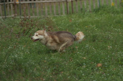 DSC_5713.JPG