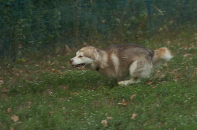 DSC_5716.JPG