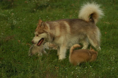 DSC_5755.JPG