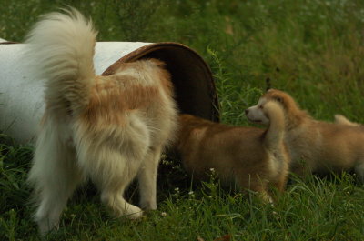 DSC_5772.JPG