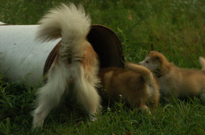 DSC_5773.JPG