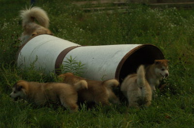 DSC_5781.JPG