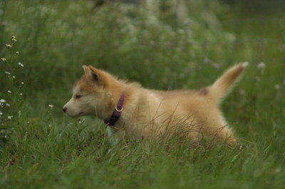 DSC_5883.JPG