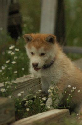 DSC_5909.JPG