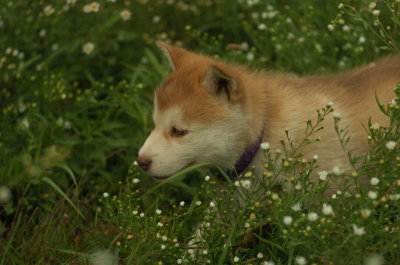 DSC_5963.JPG