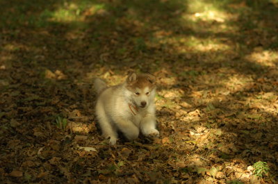 DSC_5998.JPG