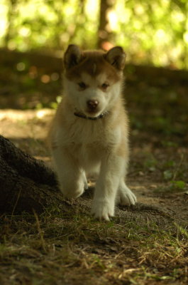 DSC_6044.JPG