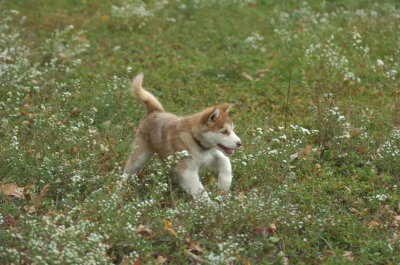 BERU_8963.JPG
