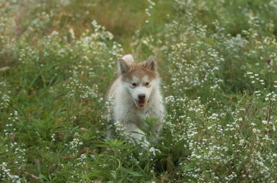 DSC_8972.JPG