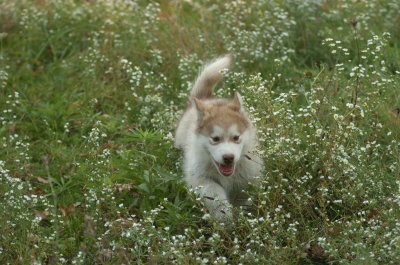 DSC_8975.JPG