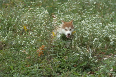DSC_8989.JPG