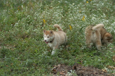 DSC_8992.JPG