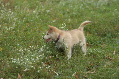 DSC_9046.JPG