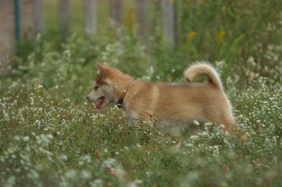 DSC_9063.JPG