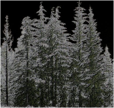 Rob Dunbar, Ghost Trees