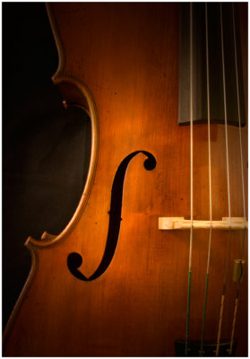 Genevieve Moyer, Cello