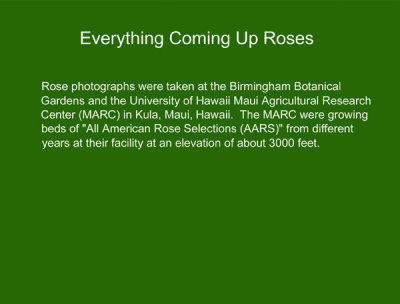 01 - Coming Up Roses