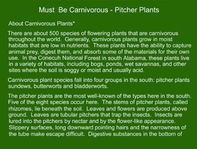 01 - Must Be Carnivorous - Pitcher Plants