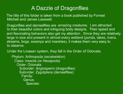 01 - Dragonfly Information