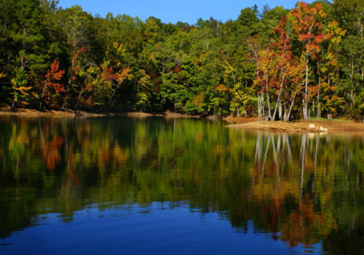Fall Reflections