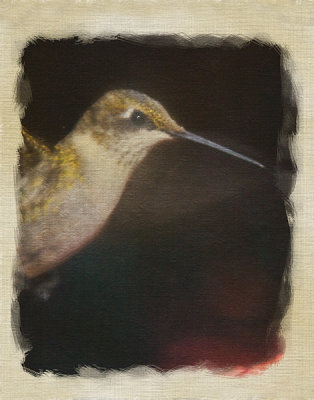 Hummer On Cloth