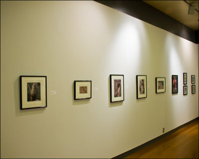 DSC_1013.jpg
