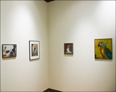 DSC_1016.jpg
