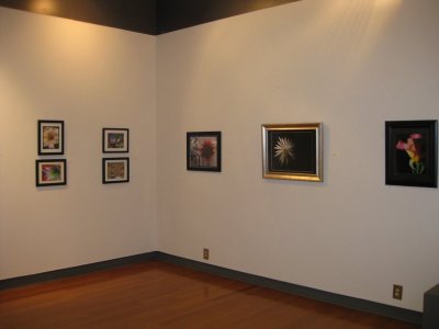 IMG_1202.JPG