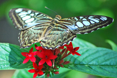 g1/29/473029/3/105847986.S3AAJnsL.jpg