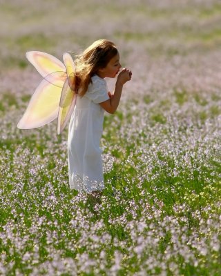 Butterfly Wishes