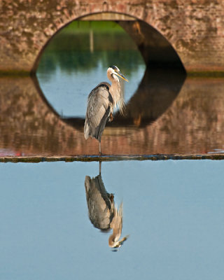 Master of the Lake