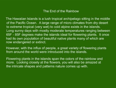 The End of the Rainbow