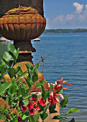 Urn View