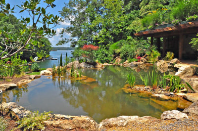 One of Several Ponds