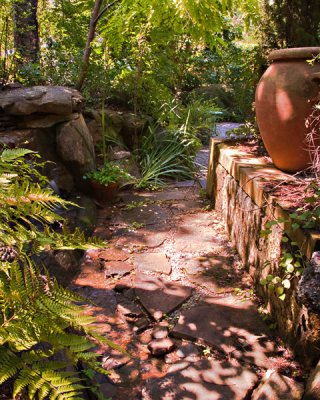 Meandering Pathway