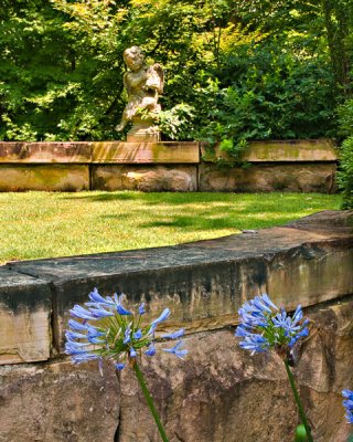 Cupid With Agapanthus