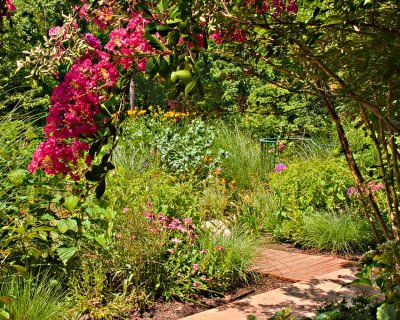 Rooftop Garden