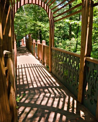 Treetop Walkway