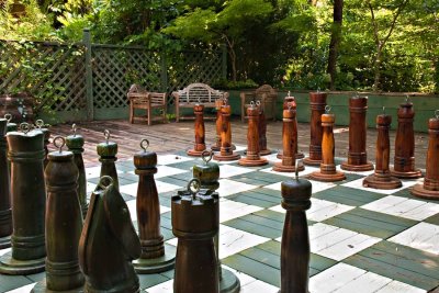 Chess Anyone?