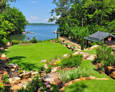 Overlooking the Lake